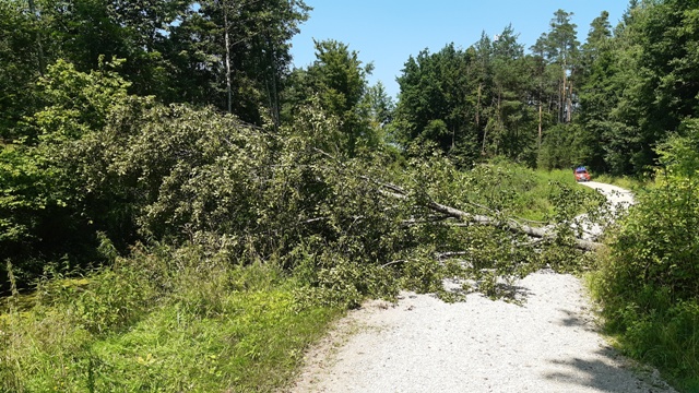 20210718_141411 groß.jpg